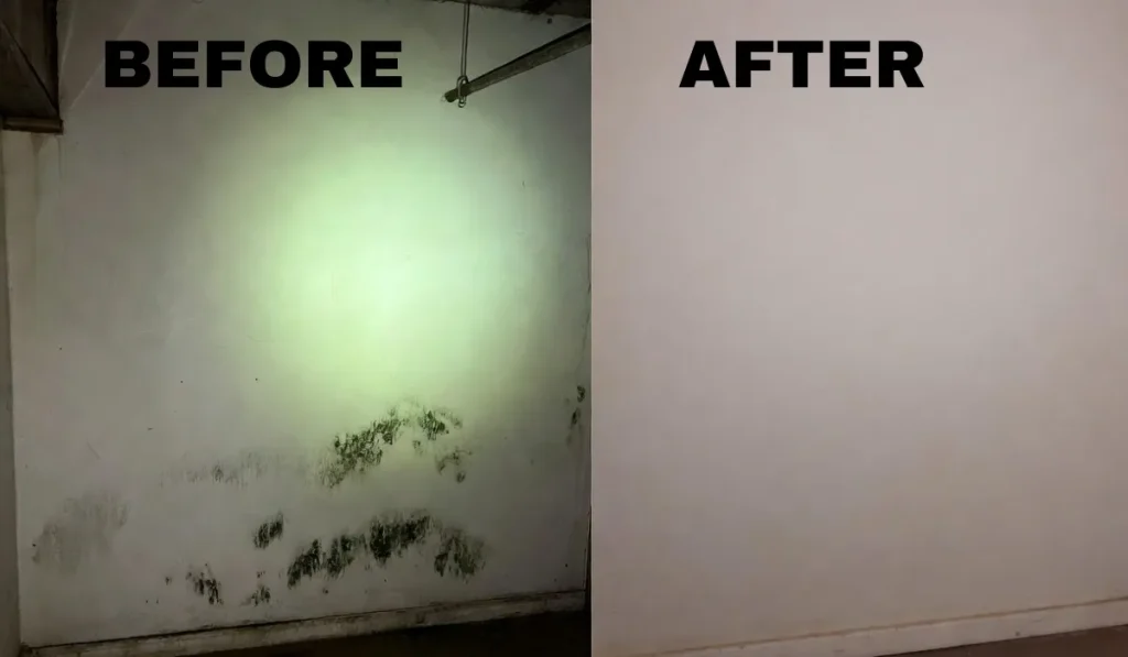 Visible mold growth on basement wall prior to professional mold inspection in Richmond, VA.webp