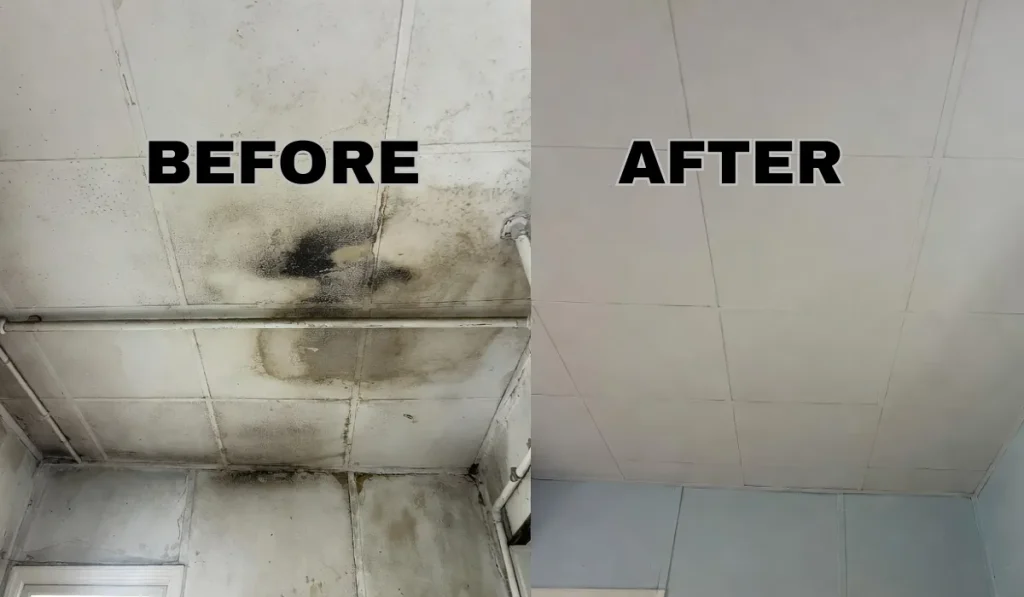 water damage repair richmond va